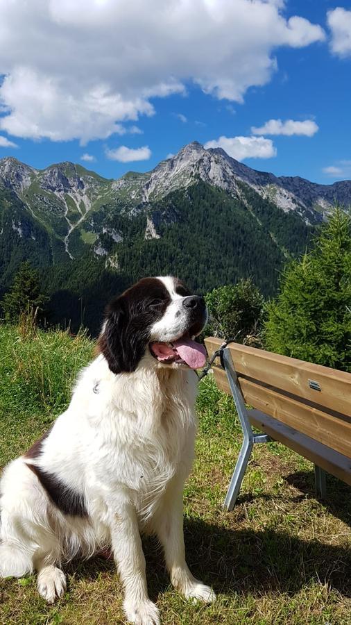 Hotel Des Alpes Фополо Екстериор снимка